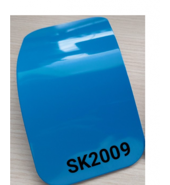 SK 2009