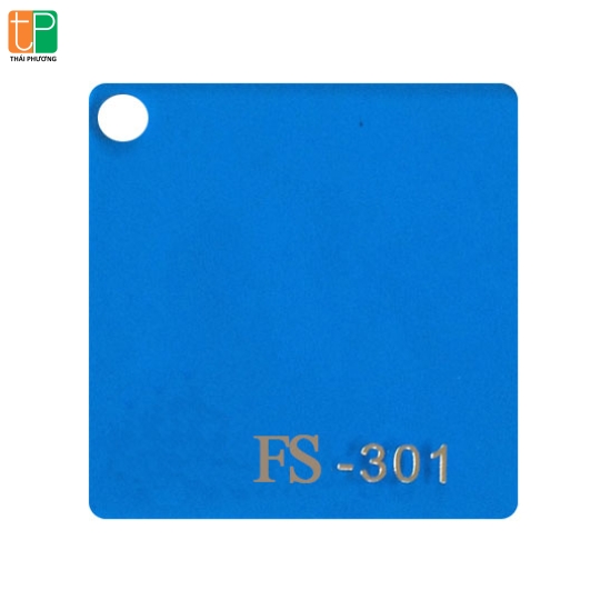 Fs - 301