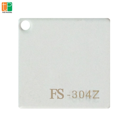 Fs - 304z