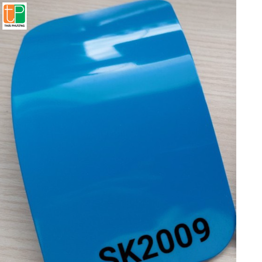 SK 2009